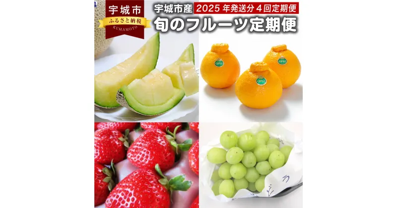 【ふるさと納税】【2025年発送分 4回定期便】宇城市産 旬のフルーツ定期便 合計4回 ※2025年2月、4月、6月、8月の計4回 いちご デコポン 肥後グリーン シャインマスカット 定期便 定期 頒布 フルーツ 果物 くだもの イチゴ 苺 不知火 メロン マスカット 熊本県産 送料無料