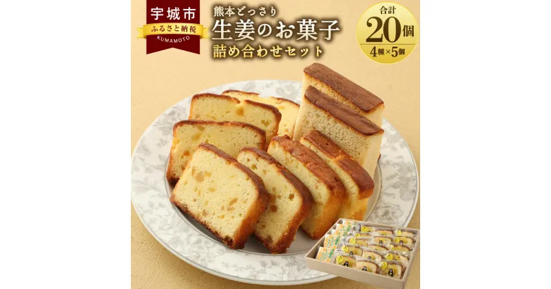 【ふるさと納税】 生姜 カステラ パウンドケーキ 熊本どっさり生姜のお菓子 詰め合わせ 4種 各5個 合計20個入り レモン ゆず ショウガ 洋菓子 焼き菓子 セット 詰め合わせ お取り寄せ スイーツ 送料無料