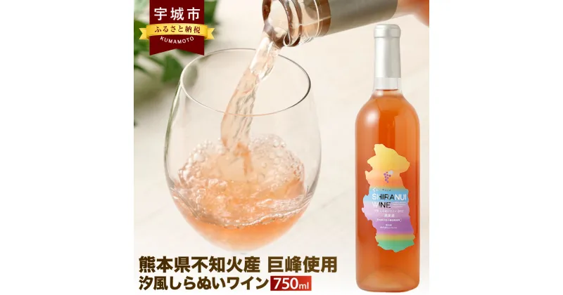 【ふるさと納税】汐風しらぬい ワイン 750ml×1本 熊本県不知火産巨峰使用 アルコール 9度 お酒 酒 アルコール ぶどう酒 飲料 不知火町 熊本県産 国産 送料無料