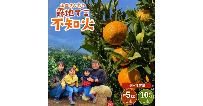 【ふるさと納税】【先行受付】山口さん家の露地でこ不知火 約5kg もしくは 約10kg L～3L大小混合サイズ ※梱包材、箱別の重量 不知火 しらぬい みかん ミカン 蜜柑 くだもの フルーツ 果物 宇城市産 熊本県産 九州産 国産 送料無料 【2025年2月上旬から3月下旬発送予定】