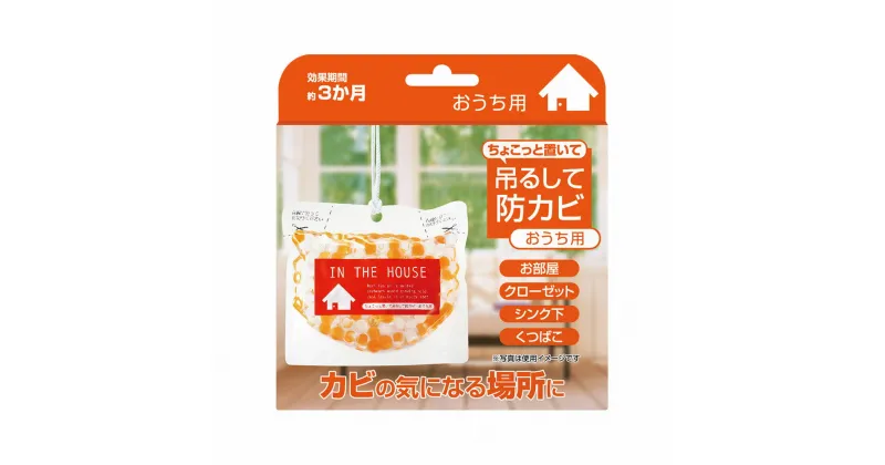 【ふるさと納税】 カビ 予防 ちょこっと置いて吊るして 防カビ おうち用 約160g 5個 1個あたり約3ヶ月有効 BB菌 カビ防止 室内用 スタンドバック 吊り下げ 掃除 便利グッズ ゲル 送料無料