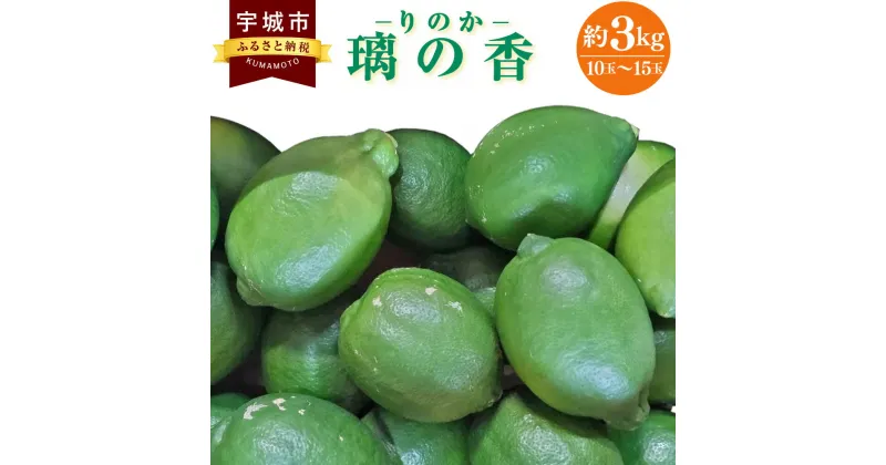 【ふるさと納税】レモン 璃の香 りのか 約3kg 10～15玉 ※箱、梱包材を含まない容量 吉田レモニー 【2024年8月下旬～2025年1月下旬発送】檸檬 柑橘 国産 九州産 熊本県産 宇城市産 送料無料