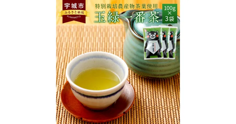 【ふるさと納税】 緑茶 くまモン 玉緑一番茶 100g×3袋セット 日本茶 一番茶 農薬を使わず栽培した茶葉 ネコポス対応 送料無料