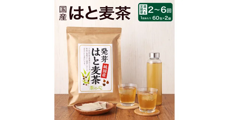 【ふるさと納税】国産 はと麦茶 【選べる定期便】 1～3ヶ月毎 2～6回 1回あたり 2袋（120包） ハトムギ茶 はとむぎ茶 ティーバッグ ティーパック お茶 お湯出し 水出し 九州 熊本県 宇城市 送料無料