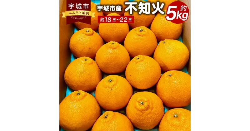 【ふるさと納税】【先行予約】 宇城市産 不知火 約5kg（約18～22玉） デコポンと同品種 しらぬい 果物 果実 フルーツ 柑橘 国産 熊本県産 九州 熊本県 宇城市 送料無料 【2025年3月上旬～5月上旬発送予定】