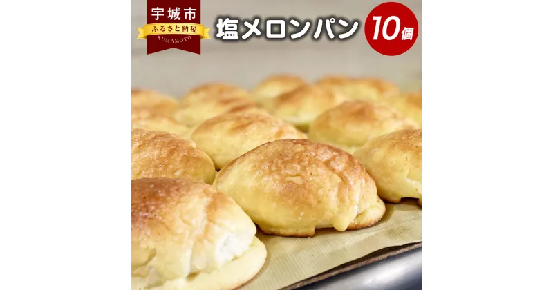 【ふるさと納税】塩メロンパン 10個セット メロンパン パン 菓子パン スイーツ おやつ 朝食 軽食 冷凍 詰め合わせ ミルキー 人気商品 九州 熊本県 宇城市 送料無料