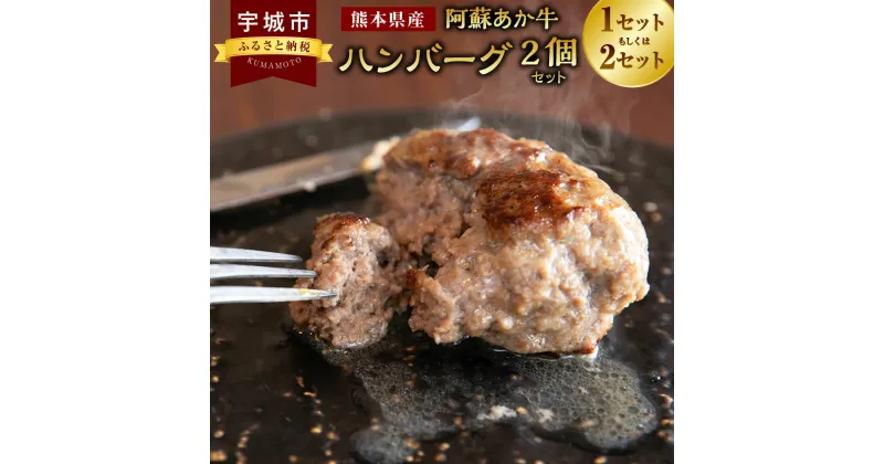 【ふるさと納税】阿蘇あか牛 ハンバーグ 【選べる容量】100g×2個 もしくは 100g×4個 あか牛 赤牛 牛肉 牛肉100％ 国産牛 和牛 冷凍 簡単調理 お取り寄せ グルメ 九州 熊本県 宇城市 送料無料