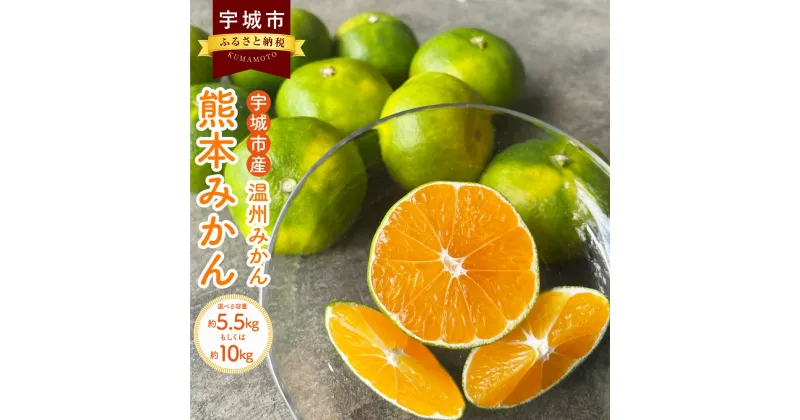 【ふるさと納税】みかん 熊本みかん（2S～2L）【選べる容量】 約5.5kg または 約10kg 合同会社宝Farm 温州みかん 蜜柑 国産 九州 熊本県 宇城市 送料無料 【9月下旬から11月下旬発送予定】