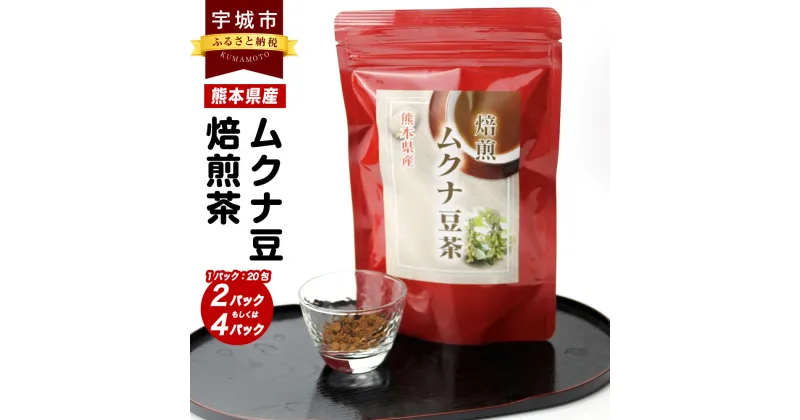 【ふるさと納税】ムクナ豆焙煎茶 【選べる容量】 60g×2パック 合計40包 もしくは 60g×4パック 合計80包 ムクナ豆茶 ムクナ豆 八升豆 ハッショウ豆 ハッショウマメ お茶 茶 ティーパック Lドーパミン アミノ酸 冷やし 飲料 国産 熊本県産 宇城市 送料無料