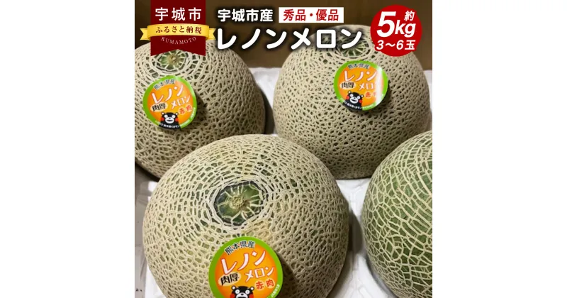 【ふるさと納税】 メロン レノンメロン 約5kg（3～6玉）秀品 優品 赤肉メロン 国産 九州 熊本県 宇城市 送料無料 【2025年4月下旬～5月下旬発送予定】