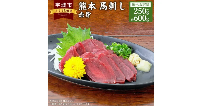 【ふるさと納税】 馬刺し 赤身 【選べる容量】熊本馬刺し赤身 約250g～約600g（約50g×5～12個）馬肉 熊本馬刺し 生食 刺身 刺し身 生姜付き 醤油付き お取り寄せグルメ 冷凍 熊本県 宇城市 送料無料