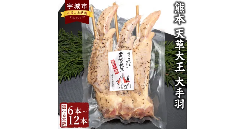 【ふるさと納税】 鶏肉 天草大王 【選べる容量】熊本天草大王 大手羽 6本 9本 12本（3本×2～4パック）1本約25cm 地鶏 手羽先 手羽 鶏肉 塩コショウ 味付け 肉厚 小分け バーベキュー BBQ キャンプ飯 焼くだけ 簡単調理 お取り寄せグルメ 冷凍 国産 熊本県 宇城市 送料無料