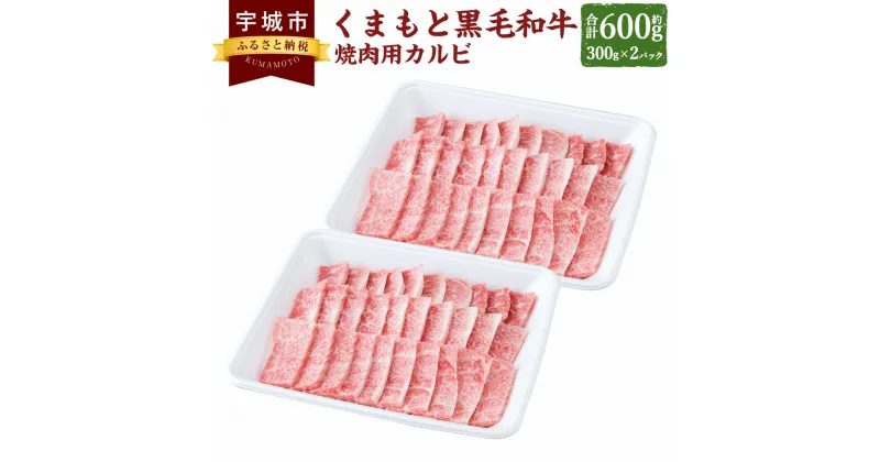 【ふるさと納税】くまもと 黒毛和牛 焼肉用 カルビ 約600g（約300g×2パック）黒毛和牛 和牛 牛肉 肉 お肉 やきにく 焼き肉 焼肉 お取り寄せグルメ 冷凍 熊本県 宇城市 送料無料