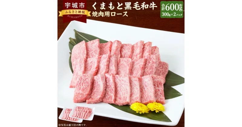 【ふるさと納税】くまもと 黒毛和牛 焼肉用 ロース 約600g（約300g×2パック）黒毛和牛 和牛 牛肉 肉 お肉 やきにく 焼き肉 焼肉 お取り寄せグルメ 冷凍 熊本県 宇城市 送料無料