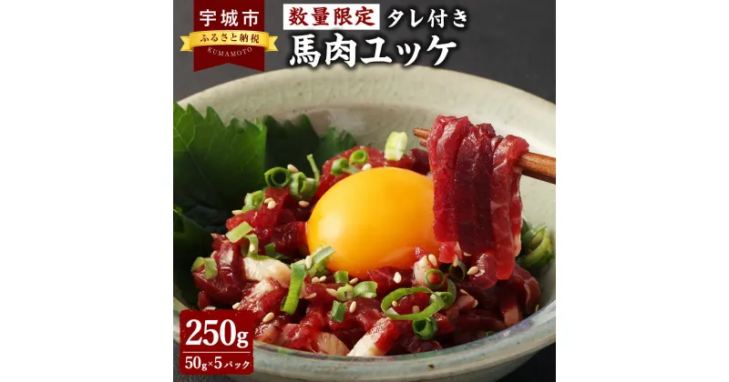 【ふるさと納税】【数量限定】 馬肉 ユッケ 250g 50g×5パック タレ付き 馬肉 熊本馬刺し 肉 お肉 生食 刺身 刺し身 お取り寄せグルメ 冷凍 熊本県 宇城市 送料無料