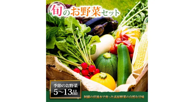 【ふるさと納税】お野菜セット 野菜 お野菜 阿蘇の高原 旬 季節の野菜セット 減農薬 新鮮 安心安全 大満足 産地直送 詰め合わせ やさい みずみずしい 美味しい 自然 自然派 セット たっぷり 熊本県 阿蘇市