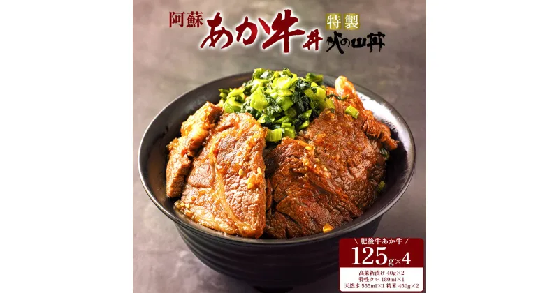 【ふるさと納税】レビューキャンペーン対象 あか牛 ステーキ 米 水 セット 牛肉 高菜 冷凍 赤牛 あかうし 熊本 くまもと 和牛 褐色和牛 国産 赤身 送料無料 贅沢 ごちそう 贈り物 ギフト 熊本県 阿蘇市