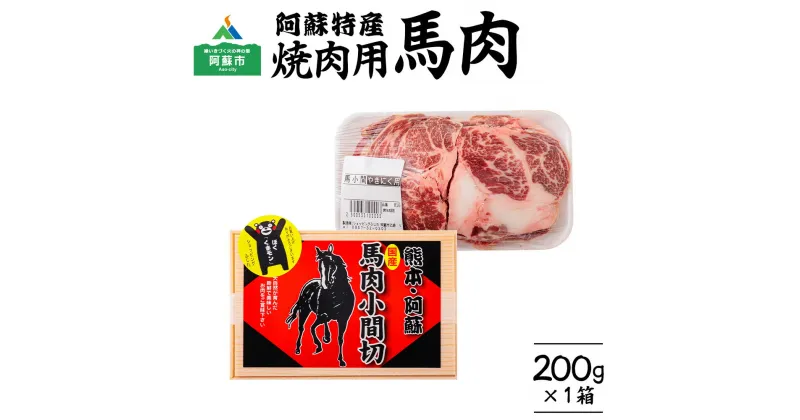 【ふるさと納税】レビューキャンペーン対象 馬刺し 馬肉 特産品 馬肉 冷凍 お取り寄せ 加熱調理用 ヘルシー 高タンパク おうちごはん バーベキュー 焼肉 カレー 惣菜 おつまみ アレンジメニュー ver.2 熊本県 阿蘇市