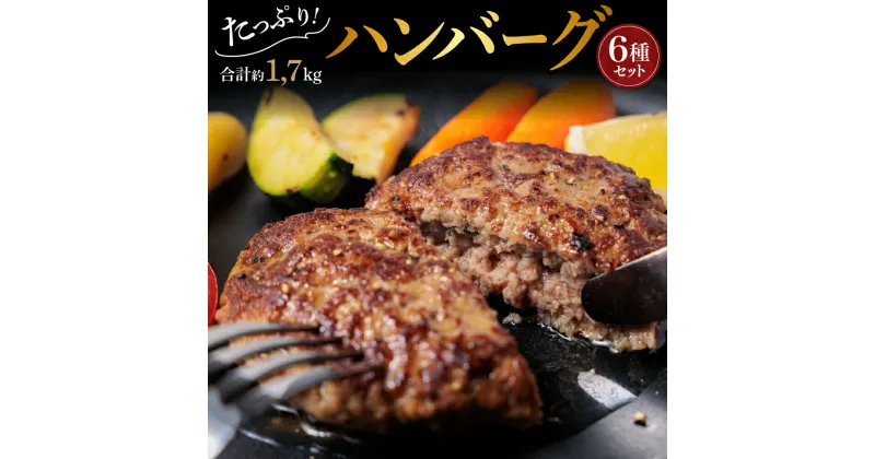 【ふるさと納税】レビューキャンペーン対象 熊本県阿蘇市 あか牛ハンバーグ 冷凍 食べ比べ ポークハンバーグ 人気ハンバーグ 6種 14個 まとめ買い お取り寄せ 詰め合わせ 国産 豪華 おうちごはん