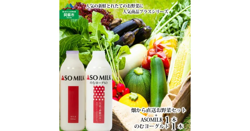 【ふるさと納税】レビューキャンペーン対象 お野菜セット 阿蘇ミルク　阿部牧場 ASOMILK 季節の野菜 800ml×1本 のむヨーグルト800ml×1本 セット 牛乳 高原 旬 新鮮 5〜10品 減農薬 産地直送 詰め合わせ 熊本県 阿蘇市