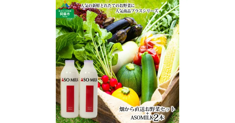 【ふるさと納税】レビューキャンペーン対象 お野菜セット　阿蘇ミルク 阿部牧場 ASOMILK 牛乳 季節の野菜 ASOMILK800ml×2本 セット 新鮮 旬 高原 お野菜5〜10品 減農薬 産地直送 詰め合わせ 熊本県 阿蘇市