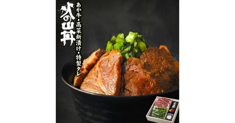 【ふるさと納税】レビューキャンペーン対象 あか牛 ステーキ 米 水 セット 牛肉 高菜 冷凍 赤牛 あかうし 熊本 くまもと 褐色和牛 和牛 国産 赤身 贅沢 ごちそう 送料無料 熊本県 阿蘇市