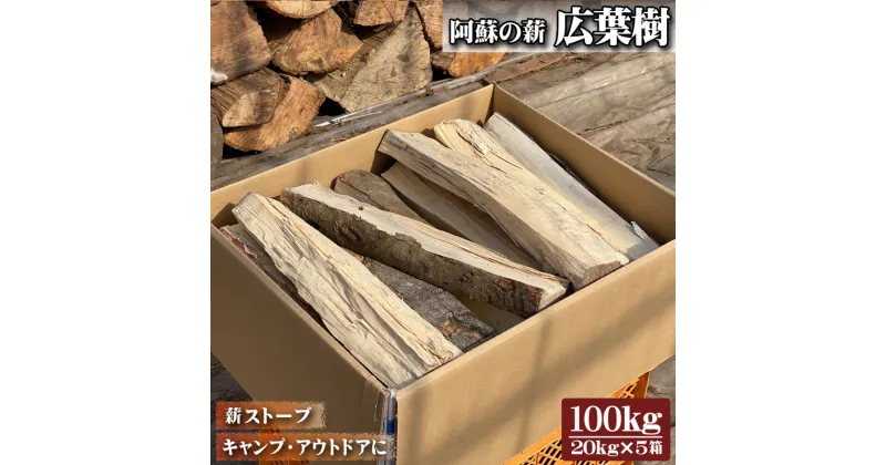 【ふるさと納税】レビューキャンペーン対象 熊本県阿蘇市 広葉樹 薪 20kg×5箱 100kg お届け まとめ買い 再生可能 エネルギー 地産地消 お取り寄せ 暖炉 アウトドア