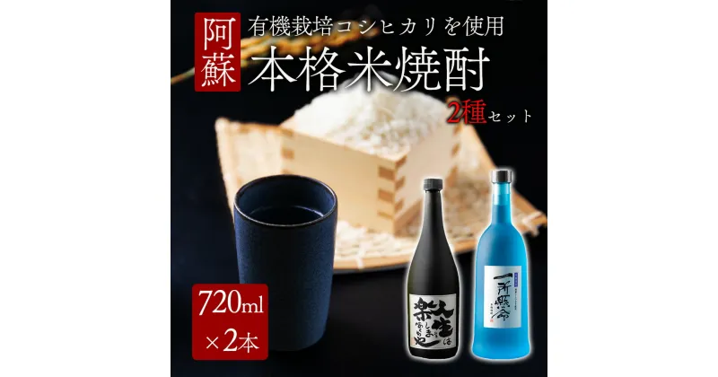 【ふるさと納税】レビューキャンペーン対象 酒 説法焼酎 一所懸命 焼酎 720ml×2 1440ml 飲み比べ アルコール 米 ギフト 贈り物 晩酌 美味しい スッキリ 辛口 熊本県 阿蘇市