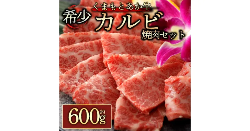 【ふるさと納税】レビューキャンペーン対象 GI認証 くまもとあか牛カルビ焼肉用600g お取り寄せ 冷凍 お土産 ギフト 贈答用 おつまみ 阿蘇牧場 熊本県 阿蘇市