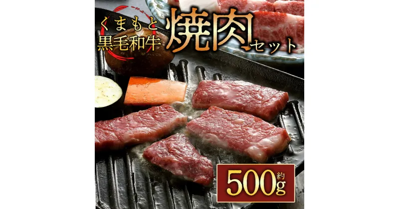 【ふるさと納税】レビューキャンペーン対象 くまもと黒毛和牛焼肉用500g お取り寄せ 冷凍 お土産 ギフト 贈答用 おつまみ 阿蘇牧場 熊本県 阿蘇市