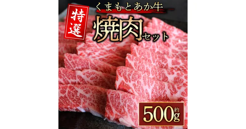 【ふるさと納税】レビューキャンペーン対象 【GI認証】くまもとあか牛　特選焼肉用　500g 牛肉 冷凍 熊本 くまもと 和牛 国産 赤身 送料無料 桜屋 贈答用 贈り物 ギフト ふるさと納税 美味しい 贅沢 晩酌 ディナー 熊本県 阿蘇市