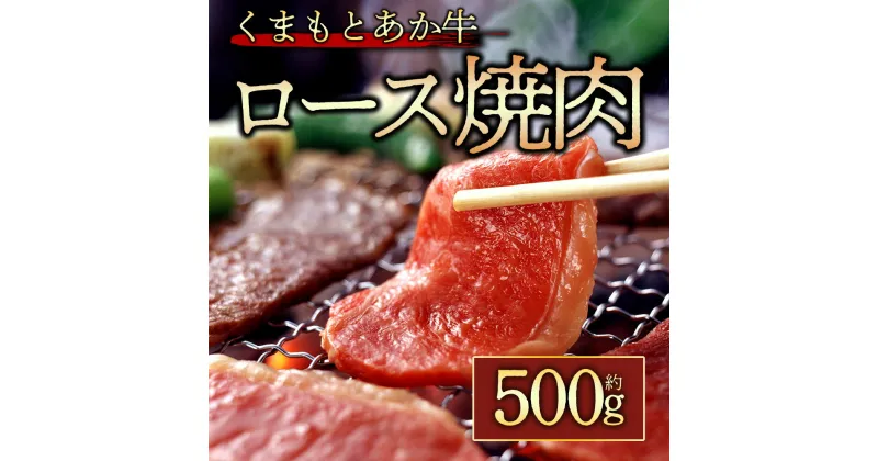 【ふるさと納税】レビューキャンペーン対象 GI認証 くまもとあか牛 ロース焼肉 500g お取り寄せ 冷凍 お土産 ギフト 贈答用 おつまみ 阿蘇牧場 熊本県 阿蘇市