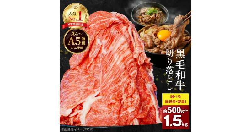 【ふるさと納税】高評価 ミシュランビブグルマン 獲得 黒毛和牛 切り落とし 500g ～ 1.5kg A4 ～ A5 等級 肉好き 発送時期が選べる 牛肉 肉 牛 旨味 濃厚 便利 小分け 国産 肉じゃが 牛丼 料理 たなか畜産 冷凍 食品 熊本県 天草市 お取り寄せ お取り寄せグルメ 送料無料