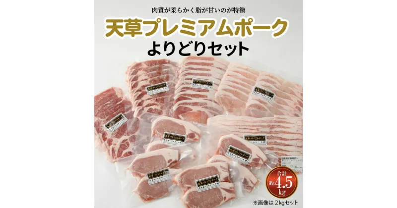 【ふるさと納税】豚肉セット 約 4.5kg 豚ロース バラ 肩ロース みそ豚 カツレツ 焼肉 しゃぶしゃぶ 生姜焼き とんかつ 産地直送 プレミアムポーク