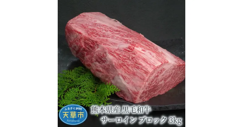 【ふるさと納税】【着日指定】 天草産 黒毛和牛 サーロイン ブロック 3kg とろける 食感 霜降り 肉 牛肉 肉質等級 A4 〜 A5 熊本県 自社牧場 産地直送 ミシュランビブグルマン 獲得 田中畜産 ステーキ 焼き肉 天草 お取り寄せ お取り寄せグルメ 天草市 送料無料