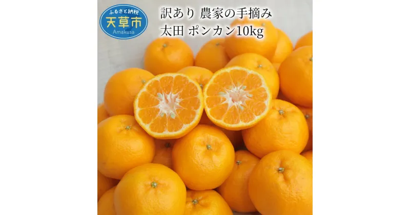 【ふるさと納税】【先行受付】 訳あり ポンカン 太田ぽんかん 約10kg 先行予約 国産 手摘み 家庭用 甘み 酸味 あっさり むきやすい 早生品種 天草 柑橘 お取り寄せ お取り寄せグルメ 果物 フルーツ 食べ物 常温 送料無料 みかん