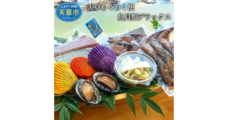 【ふるさと納税】魚介類 デラックス セット 海の幸 車えび 活きあわび 刺身 一夜干し 白身魚 すり身 旬の魚 切り身 らっきょう 緋扇貝 干物 郷土品 新鮮