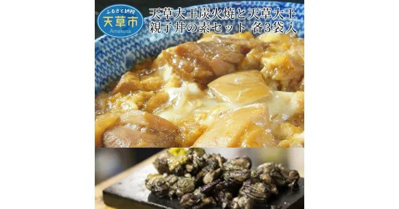 【ふるさと納税】鶏肉 親子丼 セット 炭火焼 120g 3袋 親子丼の素 170g 3食分 地鶏 真空包装 天草大王