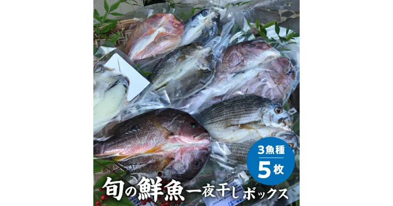 【ふるさと納税】一夜干し 旬 鮮魚 干物 天然 ミネラル製法 塩分 控えめ 魚介類