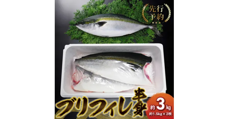 【ふるさと納税】先行予約 着日指定 新鮮 天草ぶり フィレ 半身 約 3kg 約1.5kg × 2枚 ブリ 刺身 三枚卸し 真空包装 旨味 凝縮 切り身 ブリしゃぶ 照り焼き 煮付け カルパッチョ 国産 産地直送 食品 熊本県 天草市 熊本県海水養殖漁業協同組合 お取り寄せ 送料無料