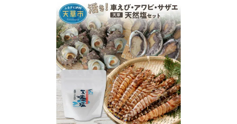 【ふるさと納税】【着日指定】 活き 車えび 車海老 海老 エビ 活き アワビ サザエ 天然塩 蒼海セット 海鮮 魚貝類 バーベキュー BBQ 新鮮 期間限定 刺身 バター焼き 天ぷら 熊本県 天草市 送料無料〈先行受付〉