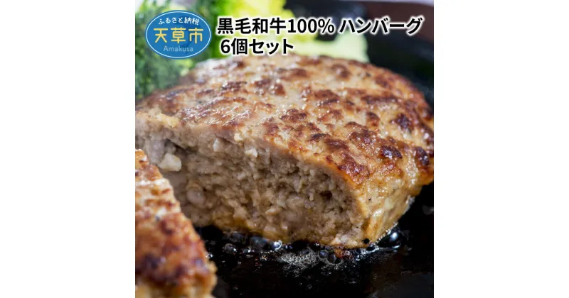 【ふるさと納税】黒毛和牛 100％ ハンバーグ 150g 6個 セット 牛肉 A5 等級 ミシュランビブグルマン獲得 産地直送 自社牧場 肉汁 おかず ご飯のお供 和牛 国産 冷凍 熊本県 天草市 田中畜産 お取り寄せ お取り寄せグルメ 送料無料