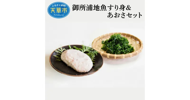 【ふるさと納税】海の幸 セット 地魚すり身 あおさ 天ぷら かき揚げ 味噌汁 お吸い物 加工品 鮮度 新鮮 海産物