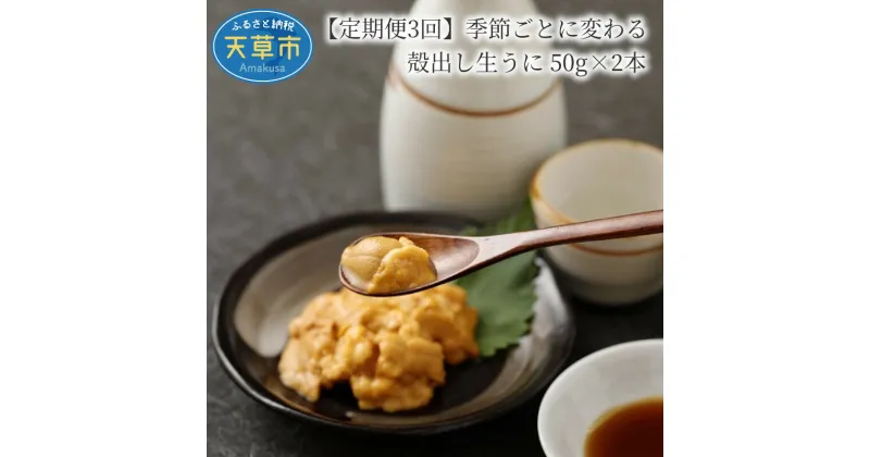 【ふるさと納税】【着日指定】 定期便 3回 季節 変わる 殻出し 生うに 50g 2本 うに 天然 素潜り 無塩 無添加 瓶詰め うに用醤油付き 季節のうに むらさきうに 赤うに ガンガゼウニ 冷蔵 定期便 新鮮 お取り寄せ お取り寄せグルメ 送料無料