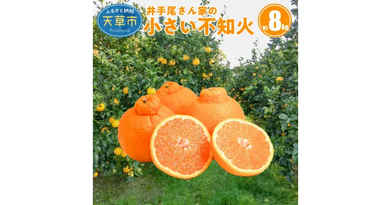 【ふるさと納税】柑橘 不知火 約 8kg 果物 濃厚 小さい 家庭用 フルーツ いでぽん農園 ギフト 天草 みかん ミカン 予約受付 先行予約