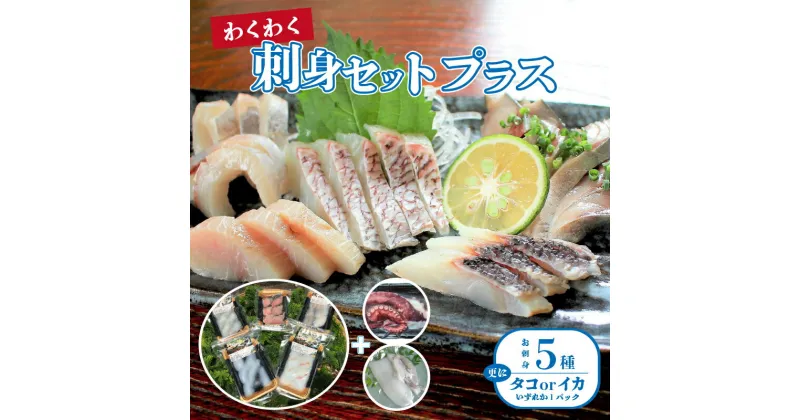 【ふるさと納税】まるで採れたて 鮮度抜群 わくわく 刺身 セット 盛り合わせ 5種 プラス ボイルタコ 又は あおりいか 合計 約 600g 天然ミネラル製法 旬 鮮魚 魚介類 天然 地魚 お手軽 食品 冷凍 熊本県 天草市 お取り寄せ 送料無料