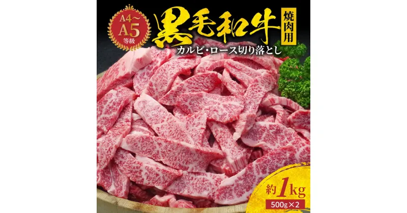 【ふるさと納税】ミシュランビブグルマン 獲得 黒毛和牛 焼肉用 約 1kg ロース カルビ 切り落とし タレ付き 厚切り きめ細かい 霜降り サシ 贅沢 美味しい お肉 牛 牛肉 焼肉 A4 ～ A5 等級限定 専門店 たなか畜産 熊本県 天草市 お取り寄せ お取り寄せグルメ 送料無料