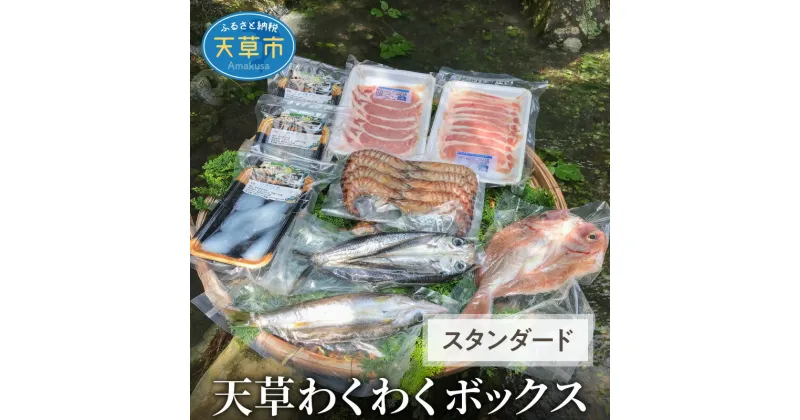 【ふるさと納税】魚貝類 スタンダード 約 1.8kg 旬 新鮮 刺身 車えび 豚肉 しゃぶしゃぶ用 生姜焼き用 一夜干し 干物 鮮魚