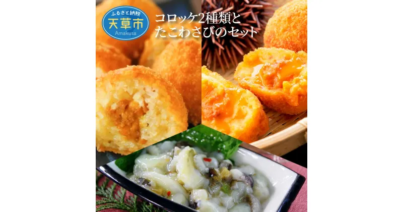 【ふるさと納税】天草産 手作り ウニ うに コロッケ うにぎり コロッケ たこわさび 100g うにめし 雲丹ソース 茎わさび ご飯お供 おかず 丸健水産 九州 熊本県 天草市 お取り寄せ グルメ 送料無料