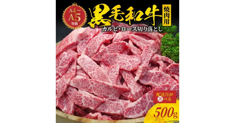 【ふるさと納税】ミシュランビブグルマン 獲得 黒毛和牛 焼肉用 500g カルビ ロース 切り落とし ミックス 厚切り 牛肉 肉 牛 脂 旨い 霜降り サシ A4 ～ A5 等級 等級限定 BBQ 焼肉 肉丼 料理 たなか畜産 産地直送 冷凍 食品 熊本県 天草市 お取り寄せグルメ 送料無料